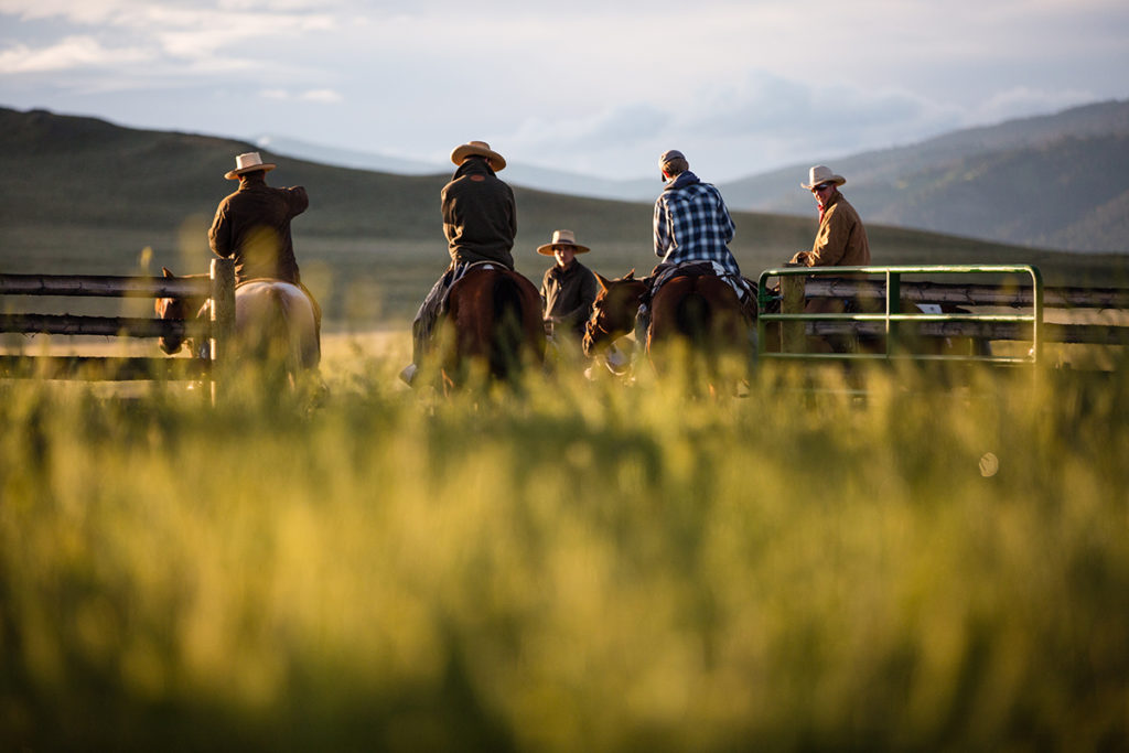 Cowboys gathered before riding out on to check cattle on a regenerative ranch