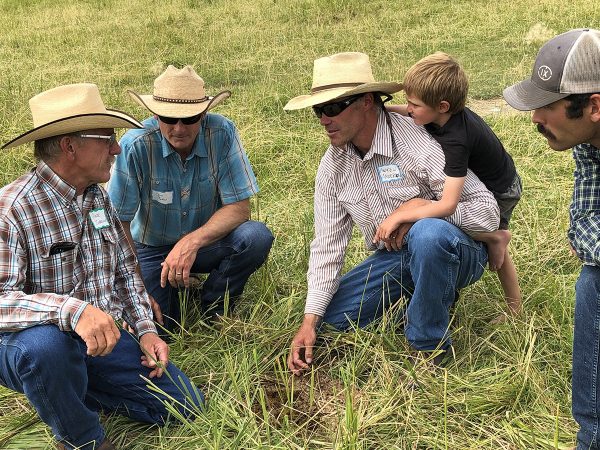 Roger Indreland and Andrew Anderson analyzing soil health during a ranch tour