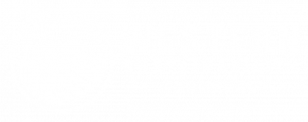 WSE-white-header-logo